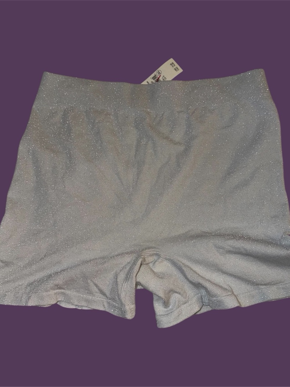 Aerie Size Large Boyshort Gray Silver Sparkle Glitter NWT Shorts Women’s